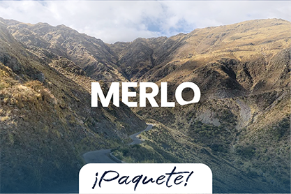 Merlo